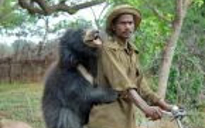 Yalnızca Hindistan'da görebileceğiniz kareler