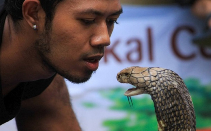 Böyle dostluk olur mu? Büyük cesaret!