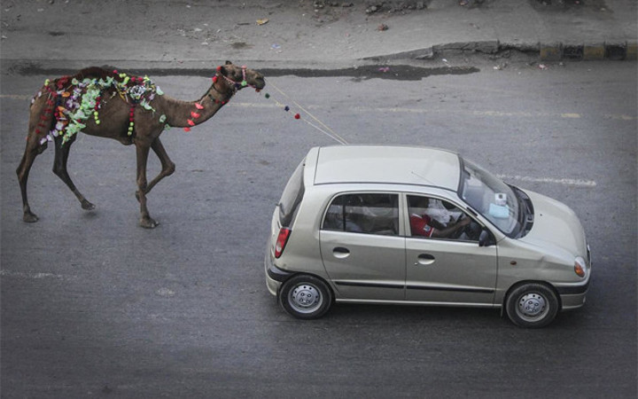 2014'ten yıldan kalan son hatıralar