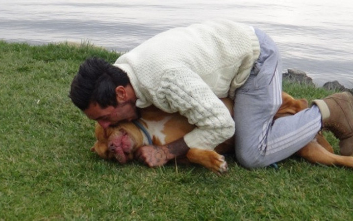 Tehlikeli değil deyip köpeğini ısırdı!