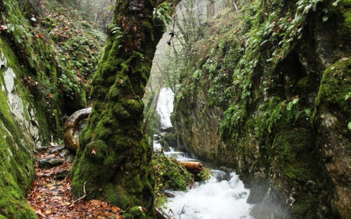 Dört mevsim bir arada yaşanıyor