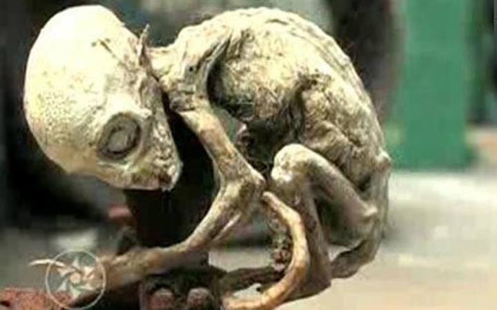 Kimse ne olduğunu bilmiyor bilim dünyası şokta!