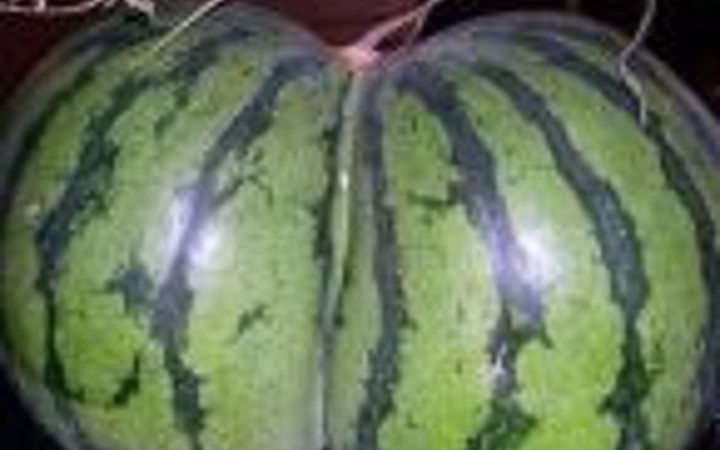 Caps'te yeni trend temsili fotoğraflar