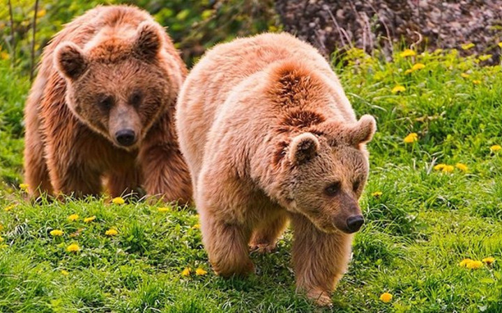 2014'te öğrenilen önemli bilgiler