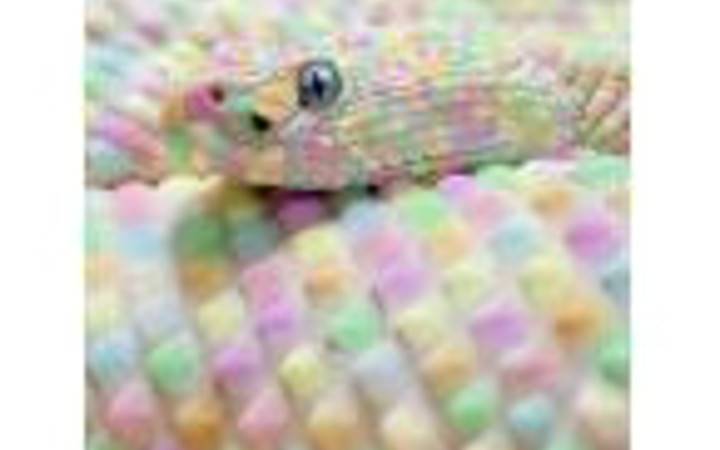 Hafta sonunun bomba fotoğrafları