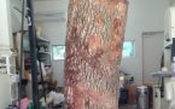 Bu kütükten sizce ne yapıldı?