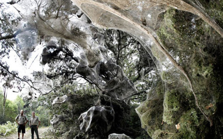 Bu doğa olaylarını kimse açıklayamıyor