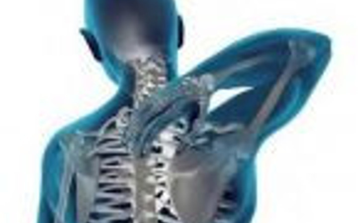 Hangi organ ne kadar sürede yaşlanır?