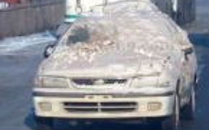 Tembellikte sınır tanımayanlar!