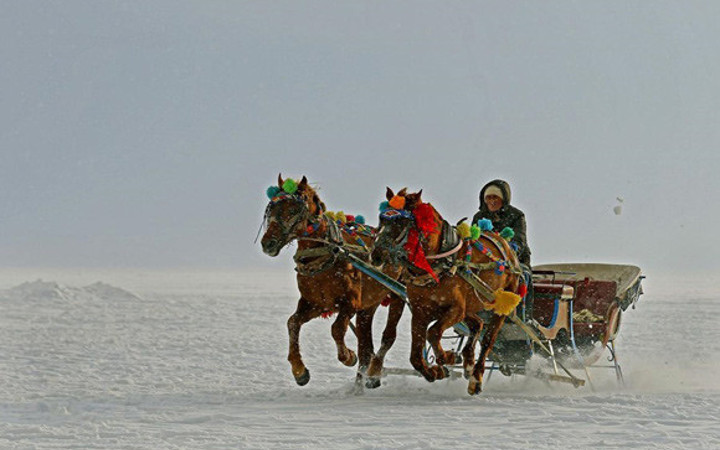 Donan göl üzerinde atlı kızak şov