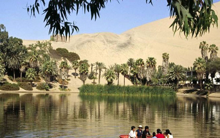 Çölün ortasında hayrete düşüren hayat