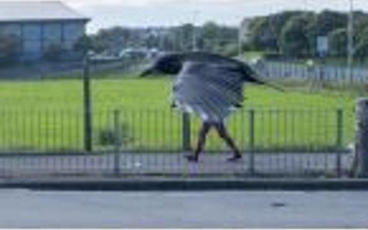 Tam zamanın da çekilmiş fotoğraflar