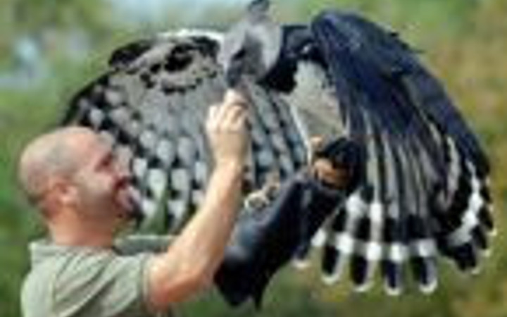 Cuma akşamına neşe katacak fotoğraflar