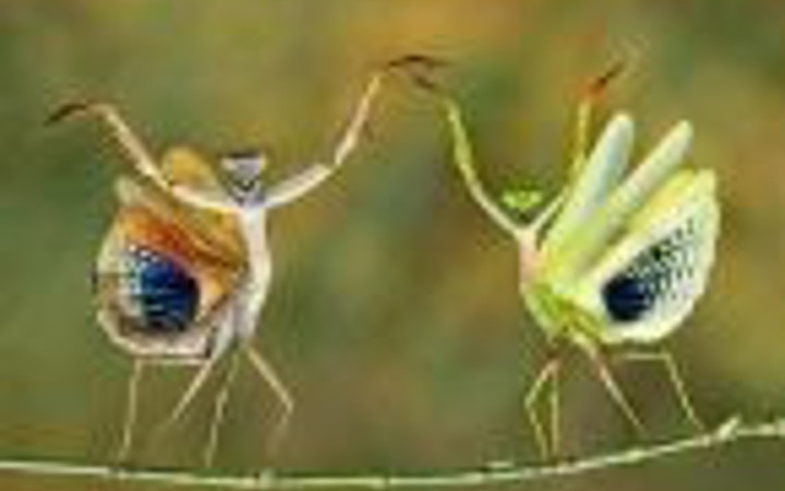 Günün en çılgın 40 fotoğrafı