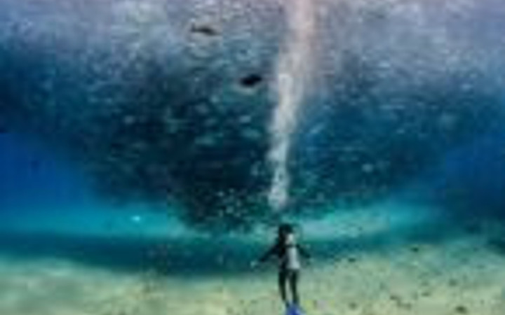 Günün en etkileyici 50 fotoğrafı