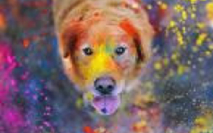 Günün en renkli 50 fotoğrafı 