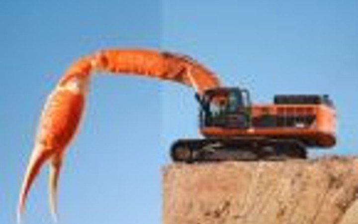 Bu fotoğraflar çok farklı!