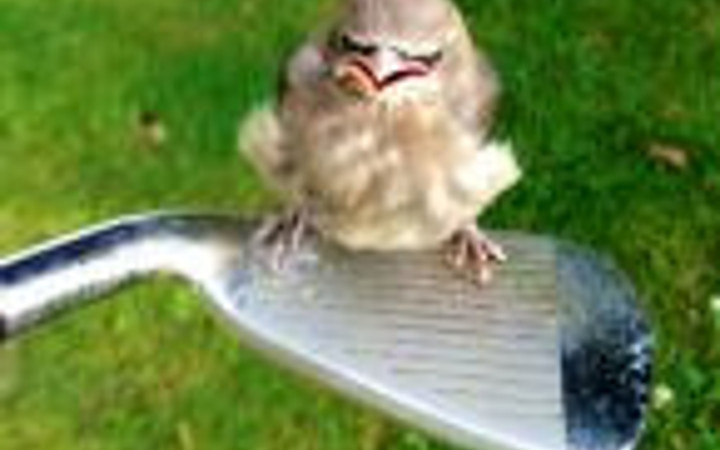 Günün en ilginç fotoğrafları