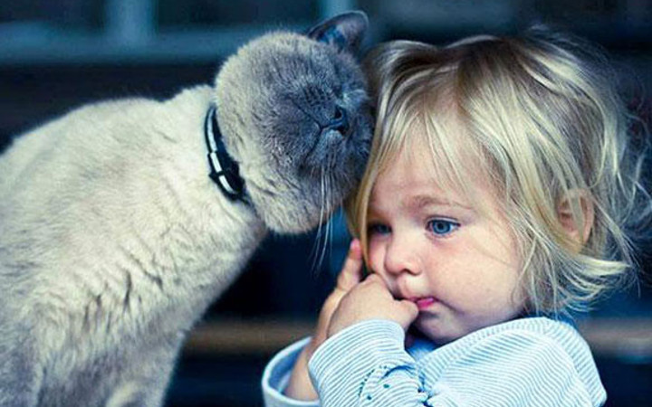 Onları hiç böyle görmediniz! 