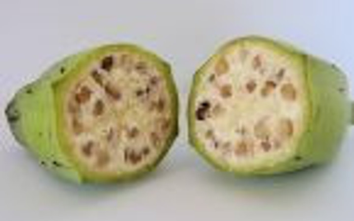 Meyvelerin yabani halleri!