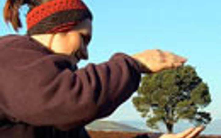 Bu fotoğraflarda photoshop yok