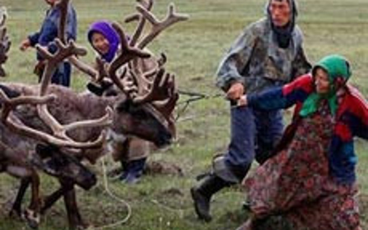 Tek amaçları hayatta kalmak