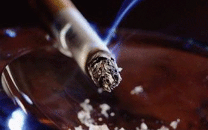 Vucudumuzun 24 saati