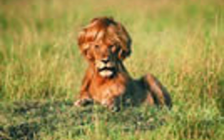 Reklamcıların çılgın fikirleri