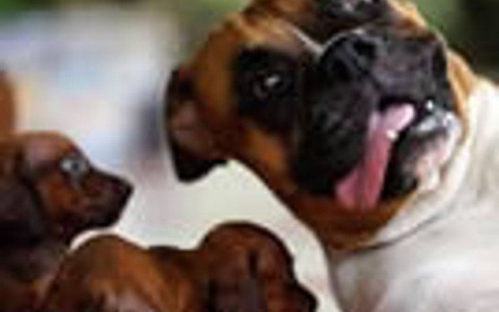 Bu kareler rekor kırıyor