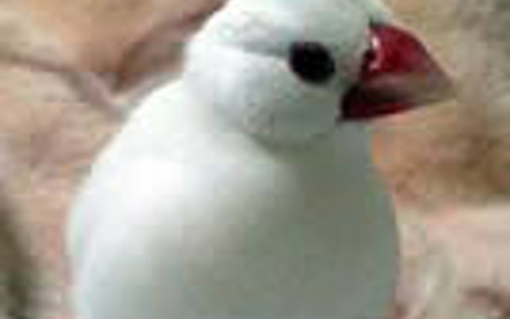 Batıl inançlarımız