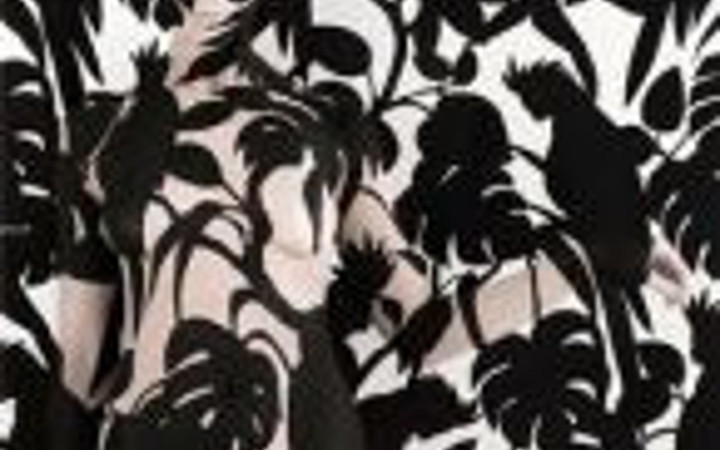 Çıplak kadını görebildiniz mi?