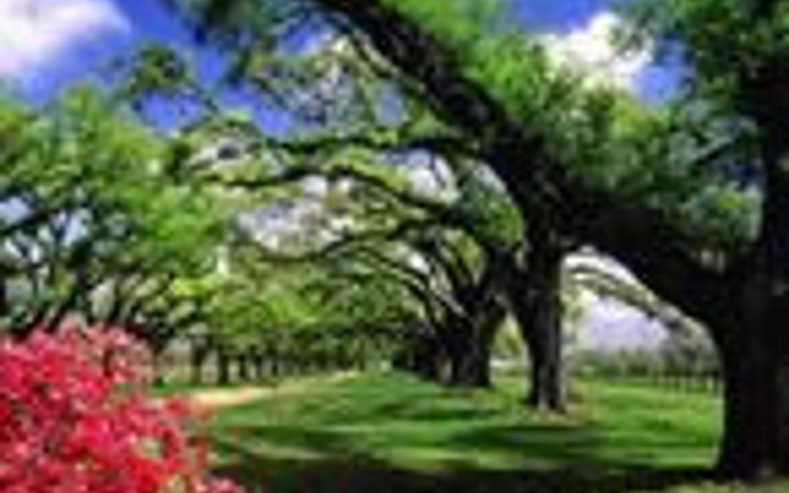 Türkiye'de bedava yapılacak 100 şey