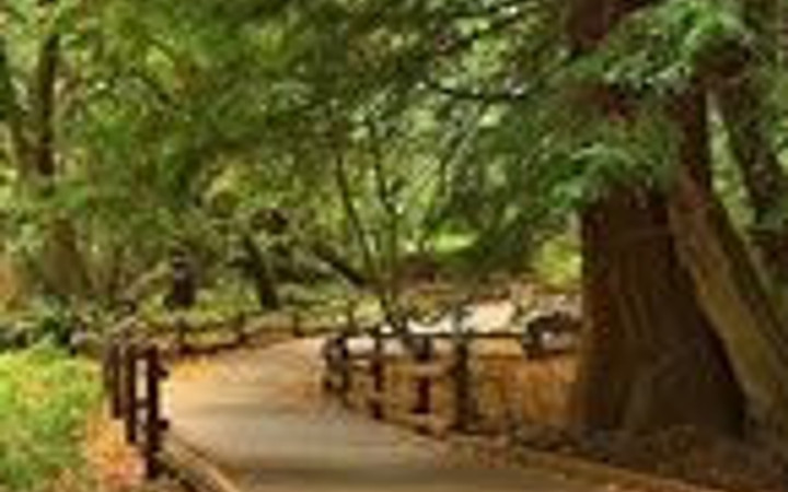 En acayip tutuklama vakaları