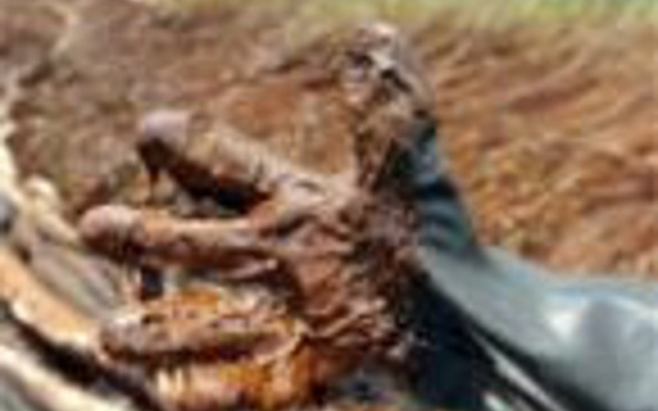 BP'den inanılmaz ihmal