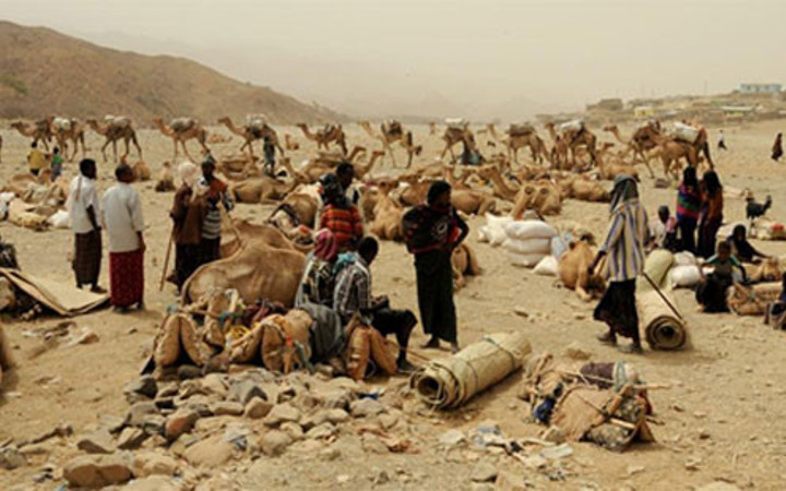 Yokluğun pençesindeki yaşamlar