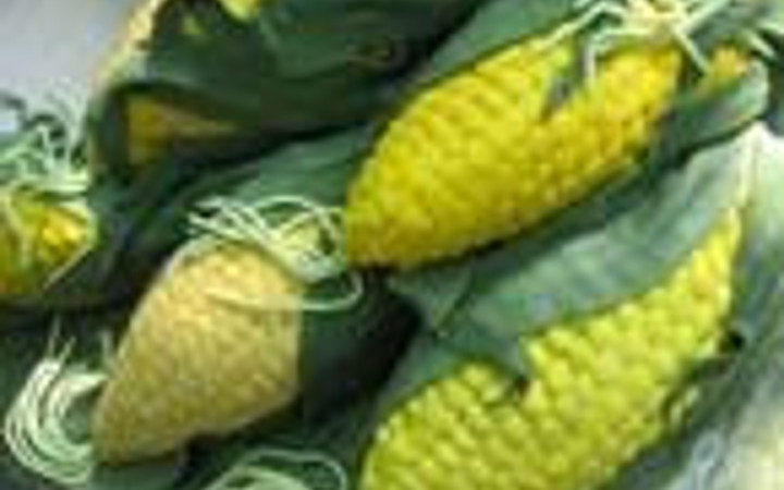 Yemede yanında yat dedirtecek pastalar