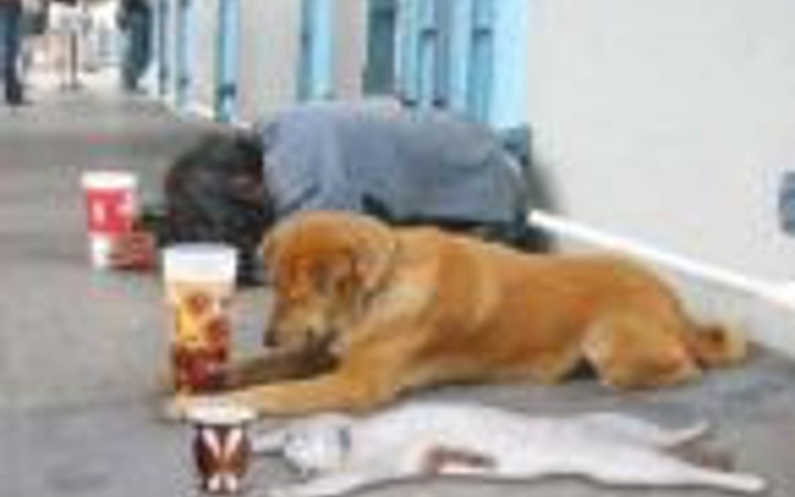 İşte haftanın rekor kıran kareleri