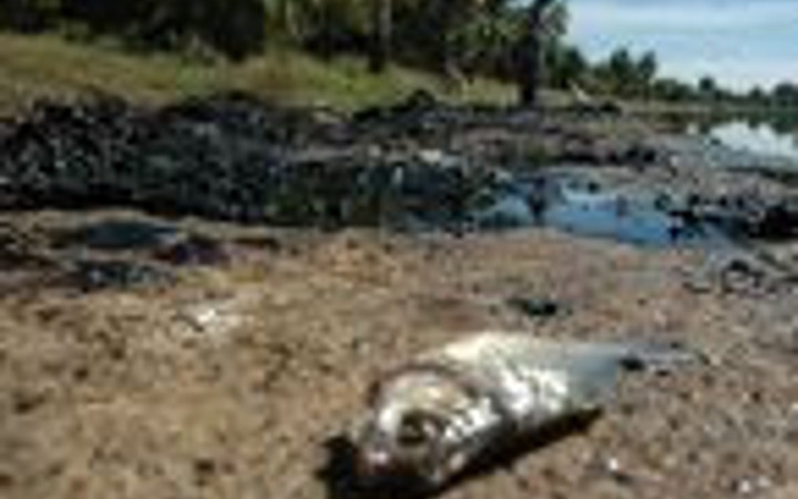 Seyhan Nehri'nde balık katliamı