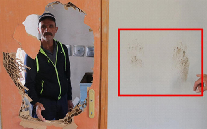 Köylüler çekti Erzincan'da aç kalan ayılar bal aramaya eve girdi