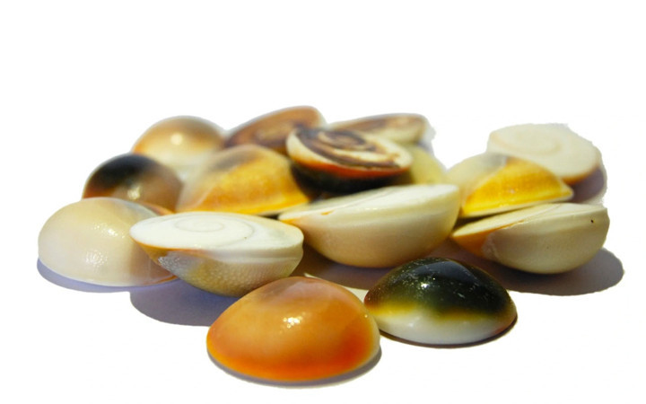 Yılancık taşı olarak da bilinen şifa taşı dertlere deva oluyor