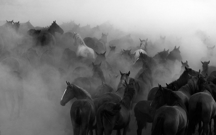 Reklam filmlerinin yeni mekanı Hürmetçi Sazlığı