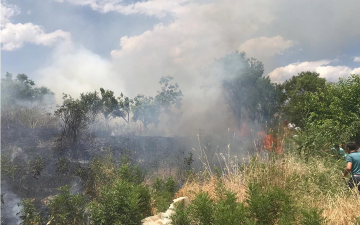 Siirt'te yangın fıstık bahçelerine sıçradı bir çok ağaç yandı