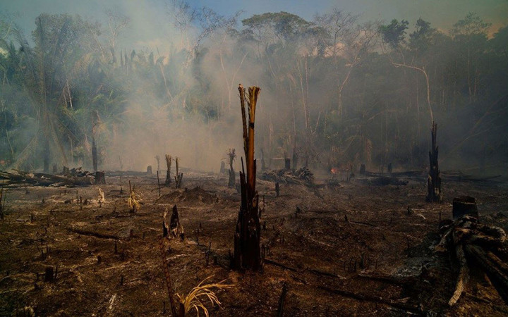 Time 2019'un fotolarını seçti! Türk fotoğrafçı Tolga Akmen'in de fotoğrafı listede