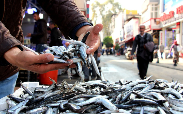 Koronavirüse karşı 'balık tüketin' önerisi taze balık nasıl anlaşılır ne şekilde tüketilmeli?