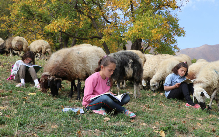 Van'da koyun güden çocuklar derslerini de çalışıyor iki istedikleri var