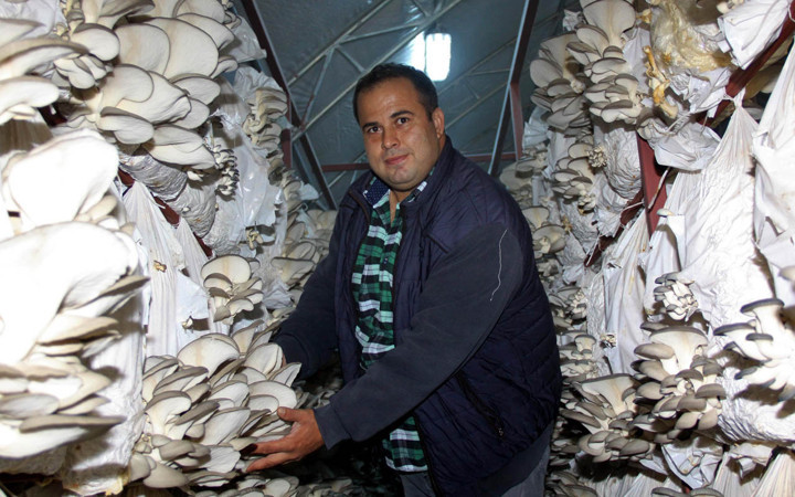 Manisa'da arkadaşında tadına baktı siparişlere yetişemiyor! Yılda 8 ton üretiyor