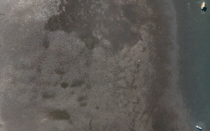 Seferihisar'da deniz yaklaşık 200 metre çekildi! Deprem habercisi mi?