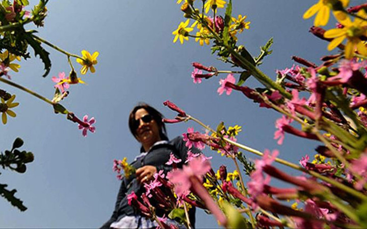Beklenen hava durumu açıklaması! Bahar geliyor, sıcaklık mevsim normallerini aşacak İstanbul, Ankara,İzmir...
