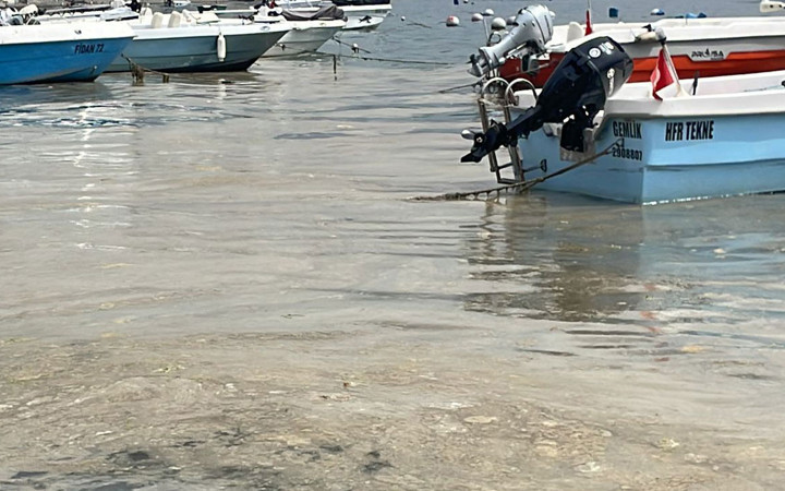 Marmara’da endişelendiren görüntü! Yeniden ortaya çıktı