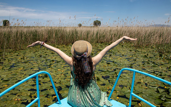 Beyşehir Gölü'ndeki ''nilüfer bahçesi'' çiçek açtı
